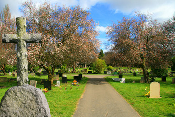 Obraz premium cemetery