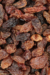 Raisin