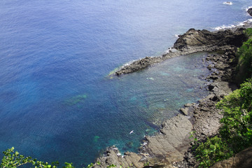 Fototapeta na wymiar Dolphin Bay