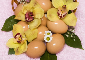 easter eggs with yellow orchids