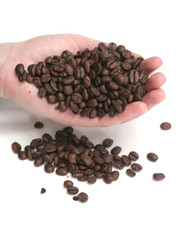It is a lot of grains of coffee lay in hands