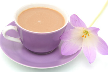 Lilac flower on a white background