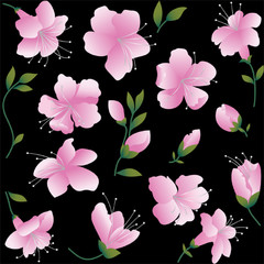 Pink flowers on  black background. Seamless figure.