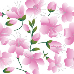 Pink flowers.