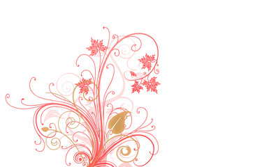 Floral illustraction on white background
