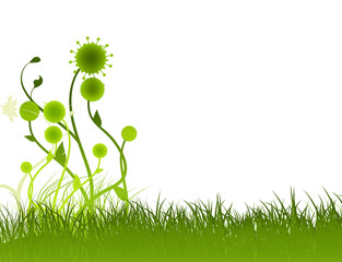 Spring floral decorative background vector illustration