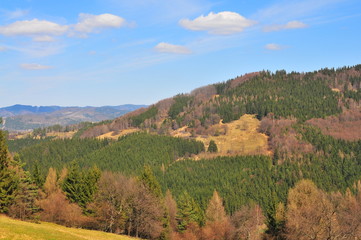 Fototapeta na wymiar Typowe wzgórza w Wołoszczyzny