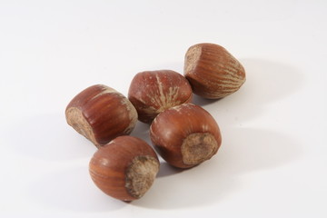 noci