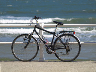 Fototapeta premium Bicicleta
