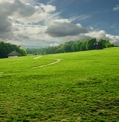 Green grass way