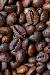 Coffee beans closeup