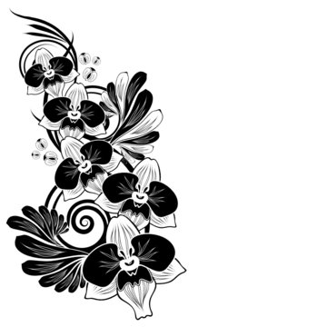 recommend clip art: floral abstract background: branch of orchid