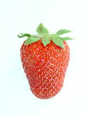 fragola 2