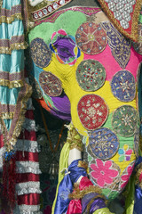 Indian Elephant Festival