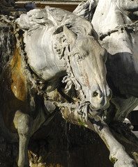 Fototapeta na wymiar France; Lyon or Lyons: horses statue at town's hall square