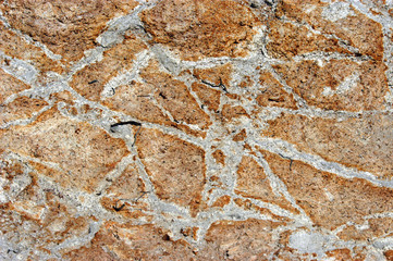 Close-up of wall