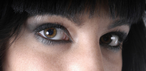 EVELYN -9828C