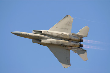 Fototapeta na wymiar F-15E Strike Eagle
