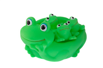 green frogs