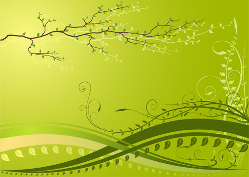 Green spring background with branch and plants 