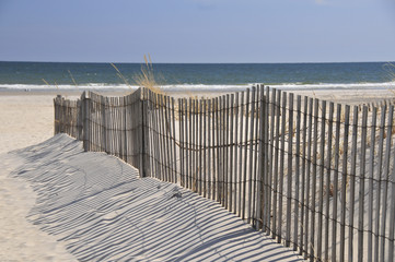 Sand Dunes in Wildwood Beach - obrazy, fototapety, plakaty