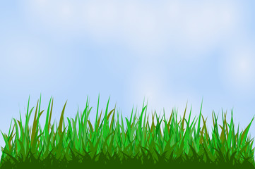 Herbe verte devant ciel bleu