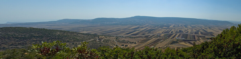Harvest fields, Galilee, Israel