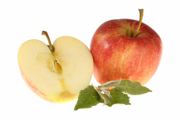 Apfel