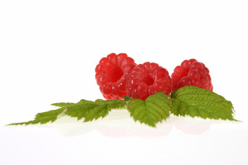 Himbeere