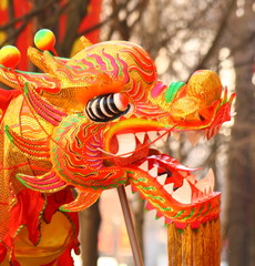 Dragon chinois