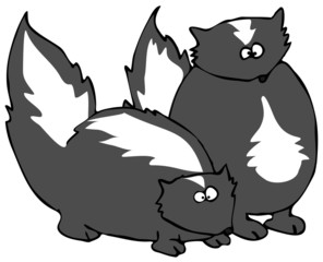Two Skunks