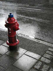 Fototapeta na wymiar fire hydrant on wet street