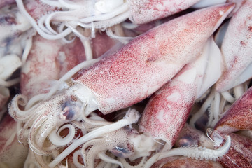 squid at marketplace