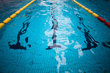 piscine jeux olympique ligne eau compétition natation nager