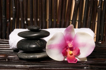 Bodycare massage items