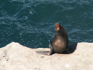 KONICA MINOLTA DIGITAL CAMERA