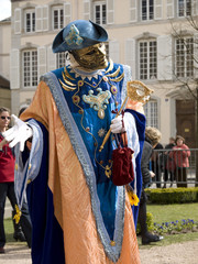 Obraz premium Carnaval vénitien
