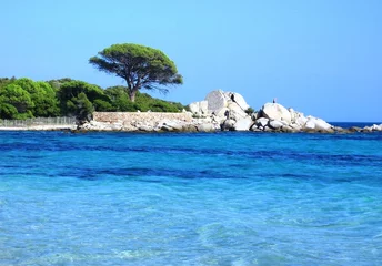 Fotobehang Palombaggia strand, Corsica Strand van Palombaggia