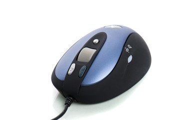Computer mouse on white background