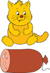 Fat cat and delicious sausage