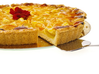 aprikosentorte perfekt zum sommer kaffeeklatsch