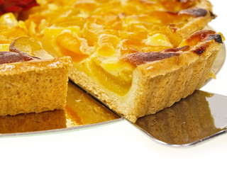 aprikosentorte perfekt zum sommer kaffeeklatsch