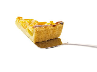 aprikosentorte perfekt zum sommer kaffeeklatsch