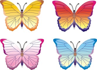 Obraz na płótnie Canvas color butterflies