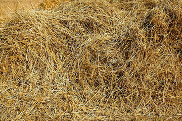  straw background