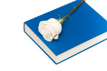 White rose on blue book isolated on white