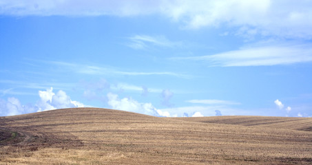 Curves in the Landscape