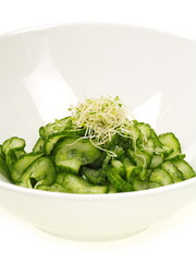 schlankmacher gurken salat