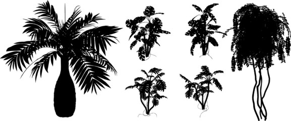 bamboo and other tropical plant VECTOR