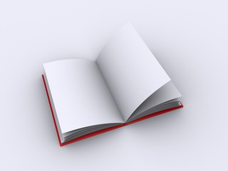 Open pages in a blank book